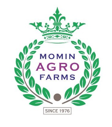 Berry Blast Media - Digital Marketing Agency In Mumbai